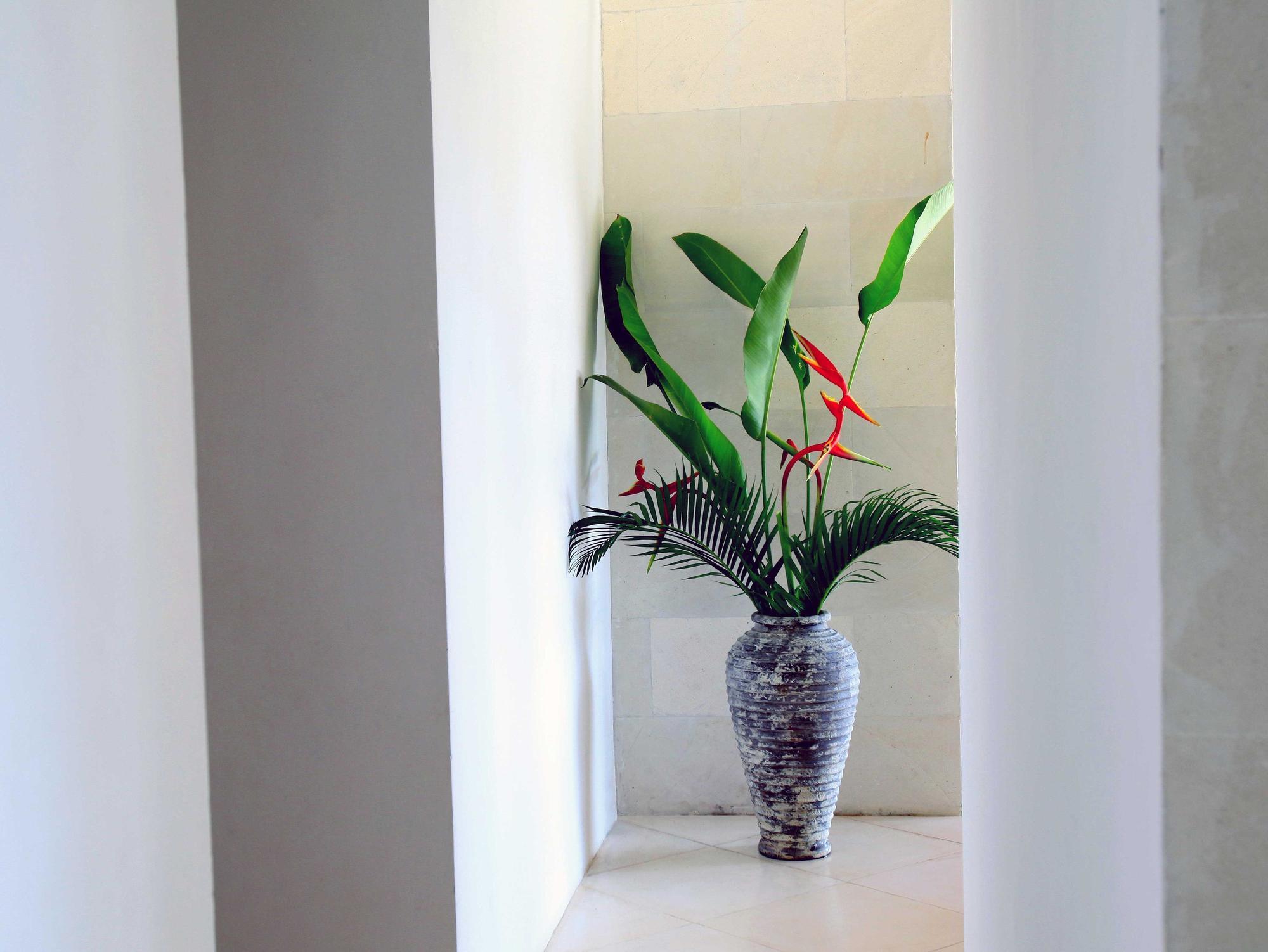 Jeda Villa Modern Stylish Luxury Villa Pemuteran Exteriör bild